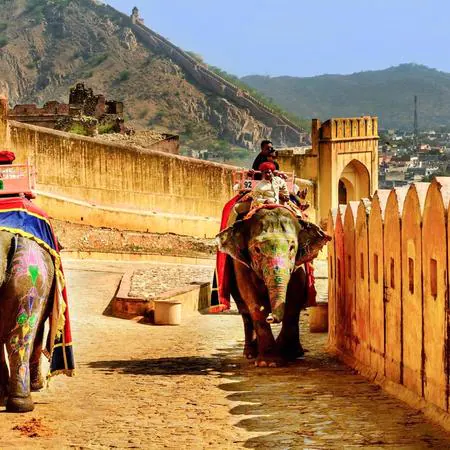 Tour Operators